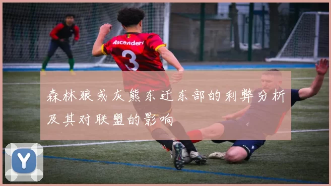 森林狼或灰熊东迁东部的利弊分析及其对联盟的影响
