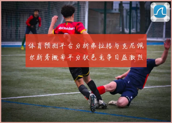 体育预测平台分析弗拉格与克尼佩尔新秀概率平分秋色竞争日益激烈